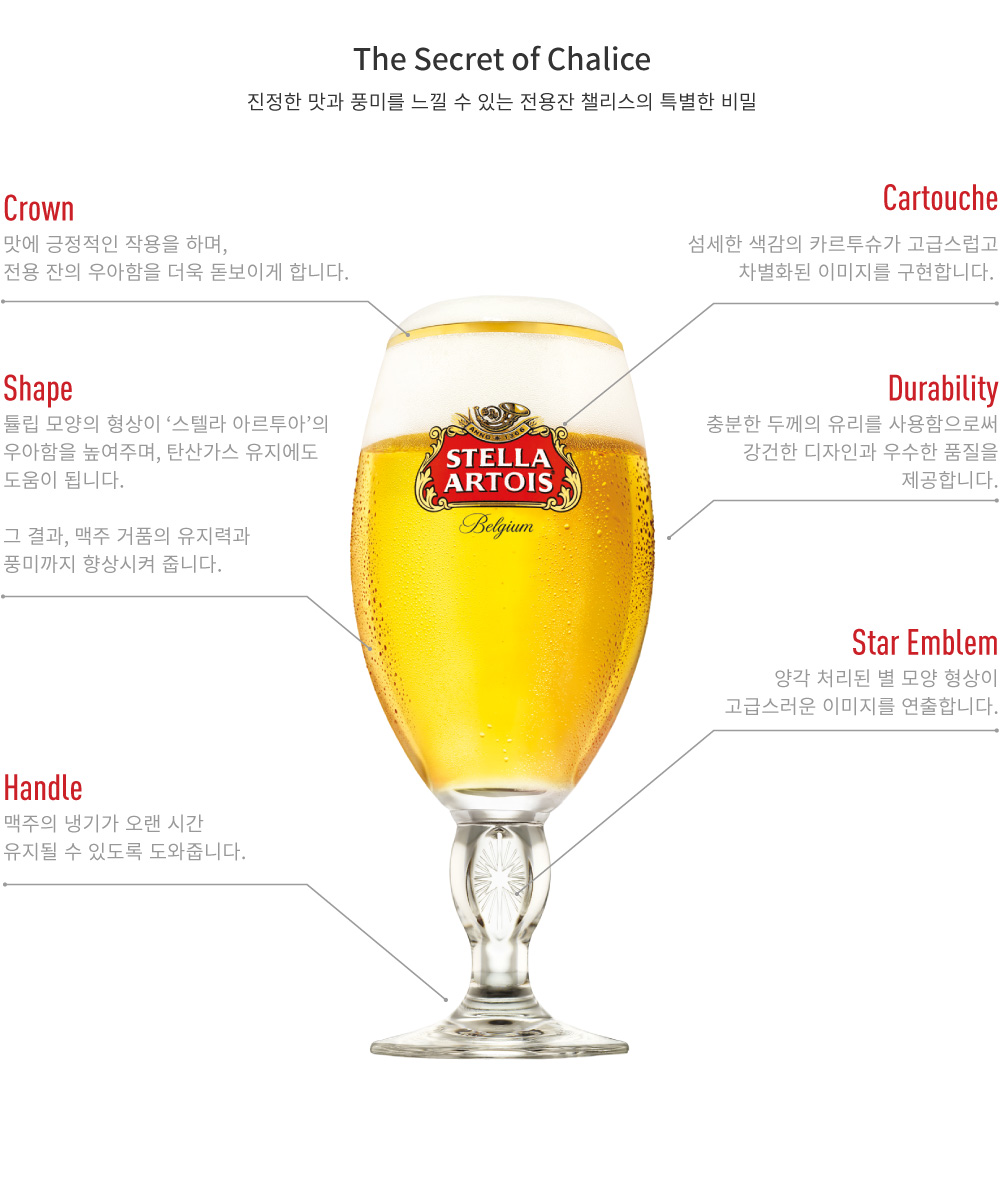 챌리스의 특별한 비밀