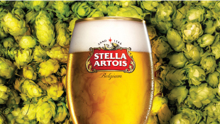 STELLA ARTOIS 맥주 사진